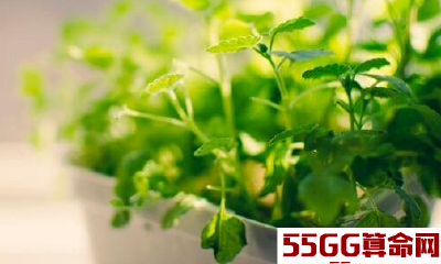 水瓶座积极和消极的表现