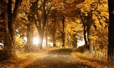 射手座秋季如何养生?