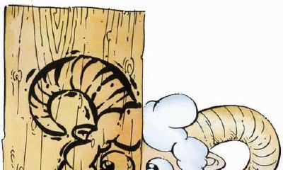 属猪的白羊座和什么生肖星座最配?