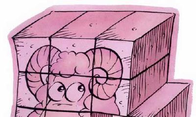 属狗的白羊座和什么生肖星座最配?