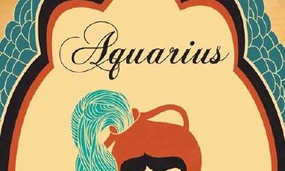 白羊座和什么座最配:第3名水瓶座