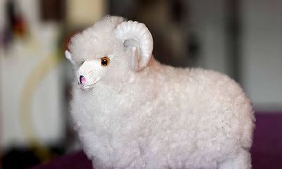 白羊座哪些特点最让人喜欢