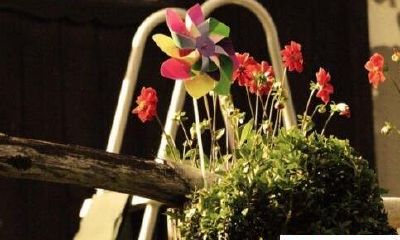 白羊座女生如何面对喜欢的人