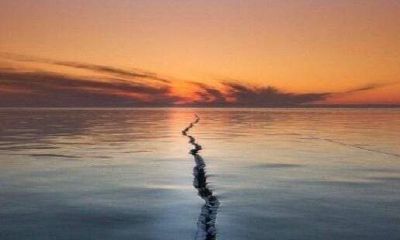 白羊座爱情失败的原因