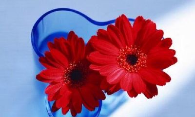 如何挽回白羊座的心