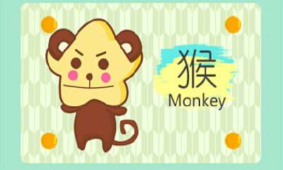 猴子今年运势 属猴人2019年全运程