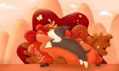 属狗人最命苦出生日期,哪日出生是上等命?