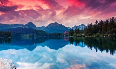 1992年生肖猴天乙贵人属相是什么?天乙贵人作用是什么?