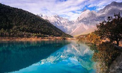 生肖猴的三合生肖属相是什么?2019年属猴人吉位在哪?