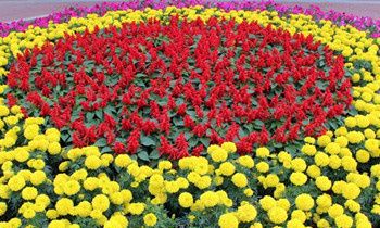 三国中属猴的人物代表有谁