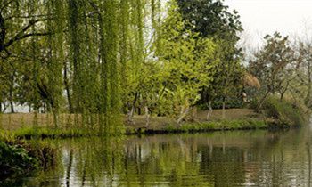 属猴的人如何与同事相处