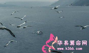 属猴的人丢弃什么就可以海阔天空