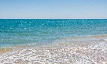 属猴的人属于什么天才