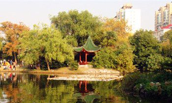 属猴的人最致命的缺点是什么