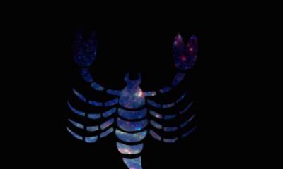 天蝎座图片大全【专辑41】