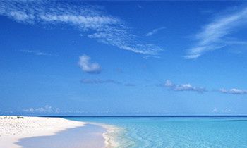 属猴人具有的爱情战斗力