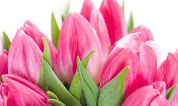 属猴人让人感到讨厌的坏习惯