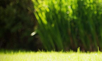 属猴人如何戴饰品保佑情人显心意