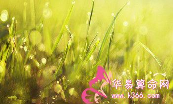 属猴人最致命的缺点是什么