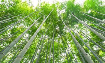 属猴人如何称霸职场武林的