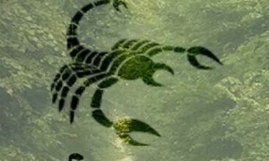 天蝎座图片大全【专辑27】