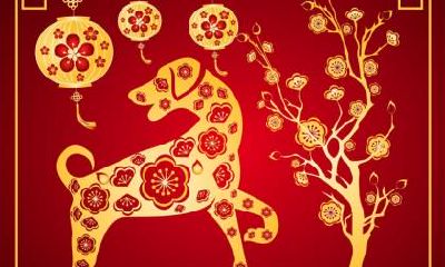 属狗巳时生人的命运怎么样?