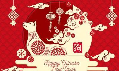 属狗未来3个月将发生大事吗 23年4月至6月属狗运势