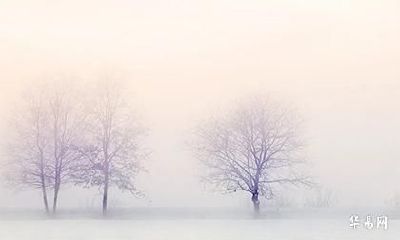 守身之狗是什么意思_守身之狗女命好不好