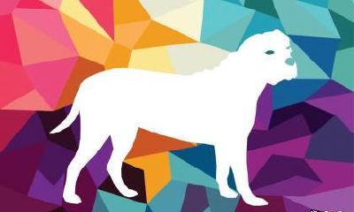 1982年属狗人在2023年中最危险的一个月是几月