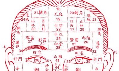 面相讲解:此痣相乃是福痣 大富大贵痣