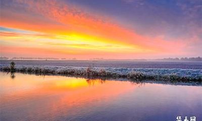 85牛海中金微信头像 85牛适合养什么植物