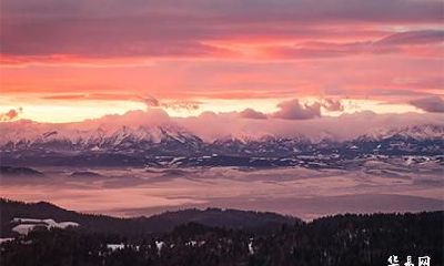 1985年属牛海中金男命运 85年属牛最好出生月份