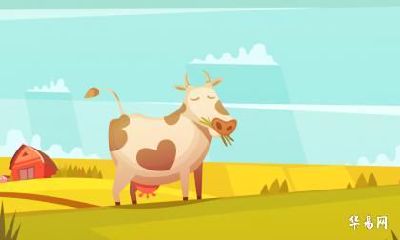 属牛未来三年运势大揭秘_1985属牛女的必经三大坎