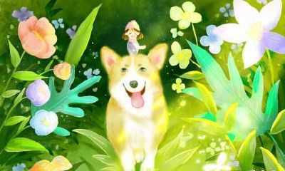 属狗人在2023年中有没有桃花劫 桃花运怎么样