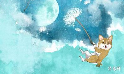 属狗未来5年运势走向如何 生肖狗的未来五年运势