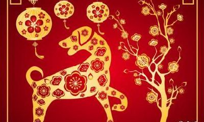 属狗最富贵的出生日 属狗出生日子分析