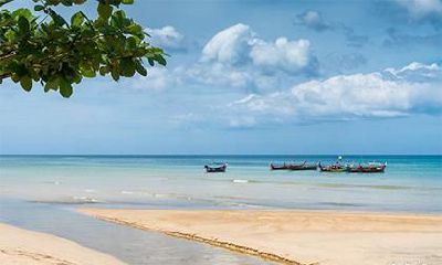 已婚属牛双子女2023感情运势_属牛双子2023年运势