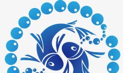 如何掳获双鱼座的心?