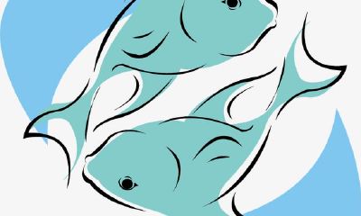 双鱼座穿衣打扮哲学