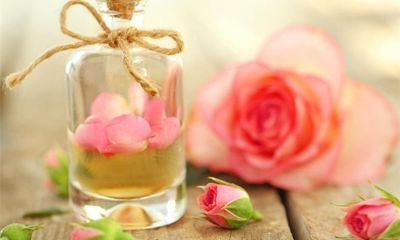 属龙和什么属相最好,父母和孩子