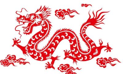 属龙的年份解析