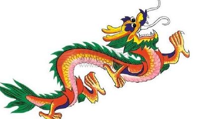 属龙人的命运分析