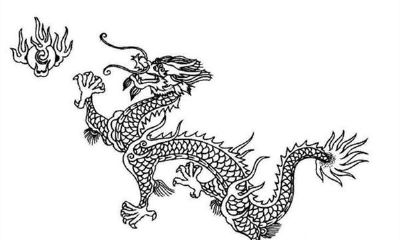 属龙的人性格及运势解析