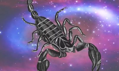 天蝎女和双子男配对?