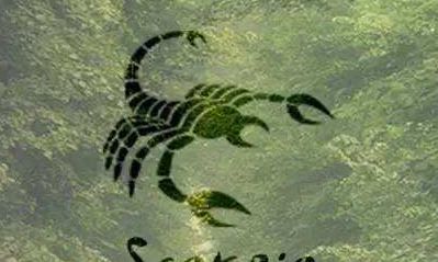 天蝎女和天秤男配对?