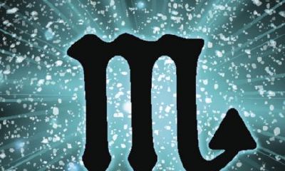 天蝎女和金牛男配对?