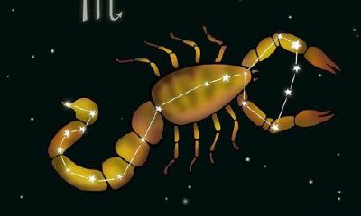 有一种星座叫做天蝎