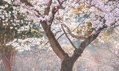 白羊座容易跟哪些星座结下仇恨