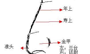 女人鼻子上有痣相好不好