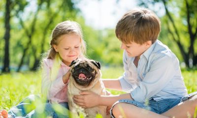 猴年宝宝起名取名何梓豪